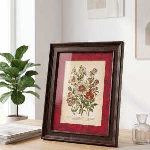 Dark Brown Stepped Frame with Printed Mount