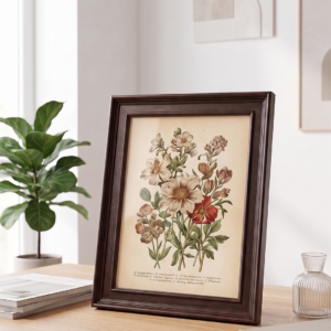 Dark Brown Stepped Frame